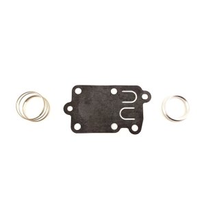 Vergaserkit passend für Vergl.Nr: Briggs & Stratton 272538S Membran - kpl. mit Ring und Feder
