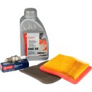 SET: Wartungskit für Loncin Motor LC1P61FA, LC1P65F