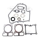 Original Briggs & Stratton 793623 Motor Dichtungssatz...