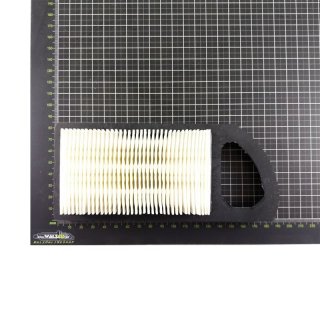 Original Briggs & Stratton Luftfilter 794421