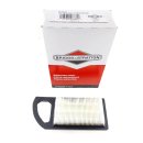 Original Briggs & Stratton Luftfilter 794421