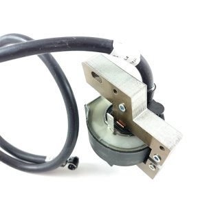 Zündspule Für Briggs & Stratton 1-Zylinder Motoren 7–16 PS – Ersatzteil 398811 U.a.