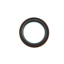 Original Briggs & Stratton Wellendichtring 795387 - Öldichtring (PTO Side) Seal-Oil