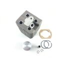Zylinderkit passend für Wacker Vergl.Nr: 0099336,...