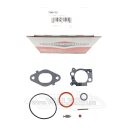 Original Briggs & Stratton 796612 Reparatursatz Vergaser - Carburetor Overhaul Kit